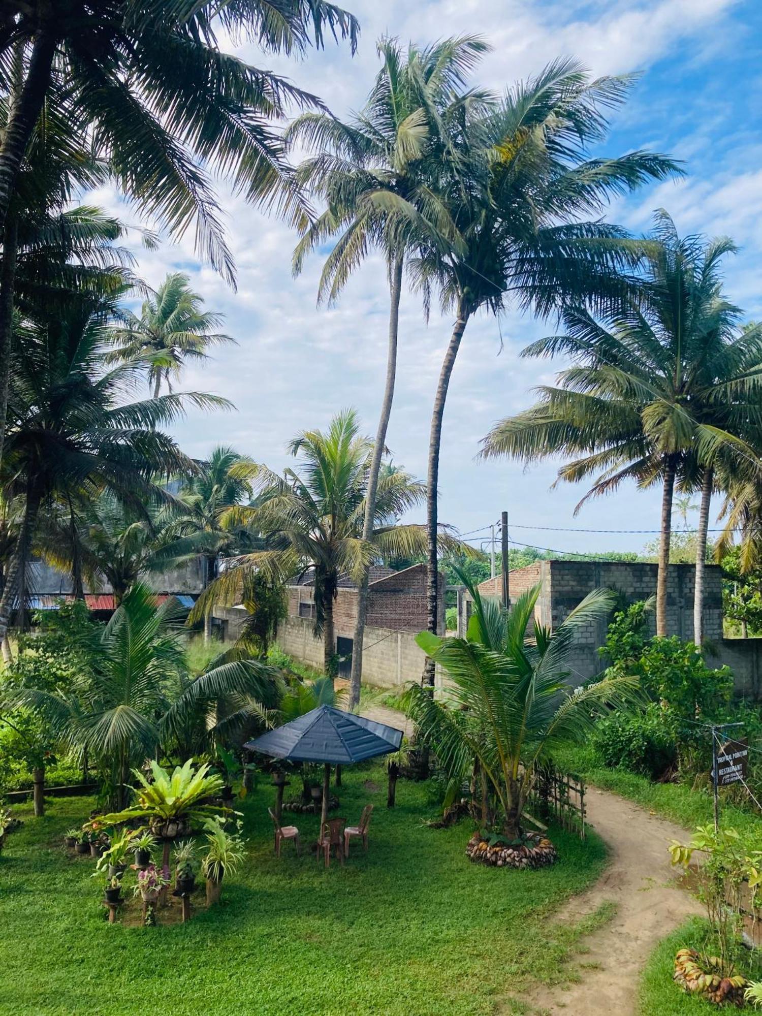 Tropical Point Inn ماتارا المظهر الخارجي الصورة
